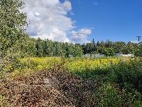 Участок 38.0  соток, Новогорск-1 снт