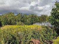 Участок 38.0  соток, Новогорск-1 снт