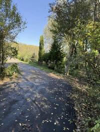 Участок 6.0  соток, Лесные Поляны снт
