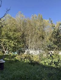Участок 6.0  соток, Лесные Поляны снт