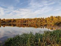 Участок 6.0  соток, Лесные Поляны снт
