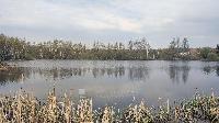 Участок 6.0  соток, Зверосовхоза п.