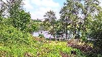 Участок 9.0  соток, Софрино с.