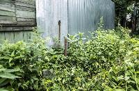 Участок 9.0  соток, Софрино р.п.