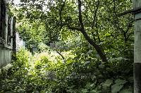 Участок 9.0  соток, Софрино р.п.