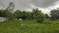 Участок 15.0  соток, Ельдигино с.