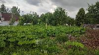 Участок 15.0  соток, Ельдигино с.