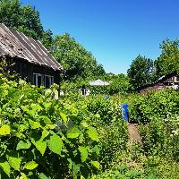 Дом 26.0  м2, Давыдково д.