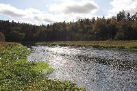 Участок 6.0  соток, Раздолье СТ д.п.