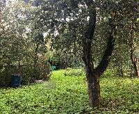 Дом 55.0  м2, Станции Крёкшино п.