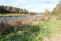 Дом 45.0  м2, Раздолье СТ д.п.