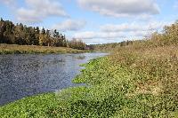 Участок 6.0  соток, Раздолье СТ д.п.