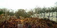 Участок 5.0  соток, Нижнее Валуево д.