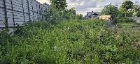 Участок 5.0  соток, Нижнее Валуево д.
