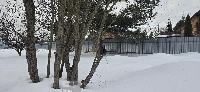 Участок 10.0  соток, СНТ Дружба тер.