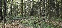 Участок 30.0  соток, Вузсервис снт