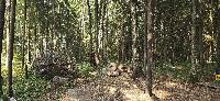 Участок 30.0  соток, Вузсервис снт