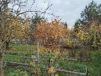 Дом 101.0  м2, Цибино д.