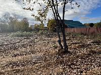 Участок 6.0  соток, Часцы п.