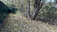 Участок 4.8  соток, Горышкино д.