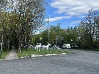 Участок 13.2  соток, Успенское с.