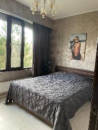 Дом 234.0  м2, Борки д.