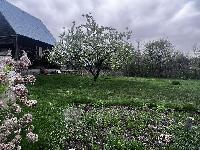 Участок 6.0  соток, СНТ Назарьево тер.