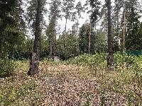 Участок 15.0  соток, Маслово д.