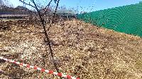 Участок 4.0  соток, Крекшино п.