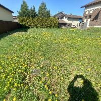 Дом 260.0  м2, НП Буньково тер.