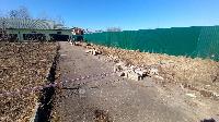Участок 4.0  соток, Крекшино п.