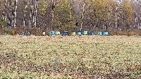 Участок 3.0  соток, Федотовка д.