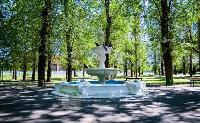 Участок 6.0  соток, Авсюнино п.