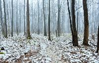 Дом 85.0  м2, подсобного хозяйства Минзаг п.