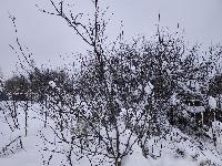 Участок 4.5  соток, Крекшино п.