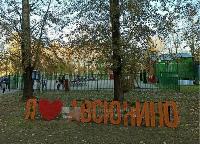 Участок 6.0  соток, Авсюнино п.