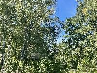 Участок 10.0  соток, Протасово д.