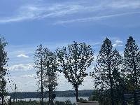 Участок 10.0  соток, Протасово д.