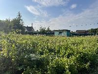 Участок 9.0  соток, Марфино с.