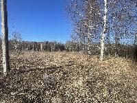 Участок 12.0  соток, Лысково д.