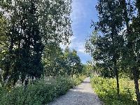 Участок 19.0  соток, Долгиниха д.