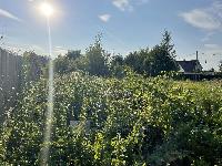 Участок 9.0  соток, Марфино с.