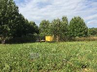 Участок 18.0  соток, Долгиниха д.