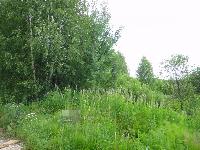 Участок 18.0  соток, Долгиниха д.