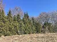 Участок 10.0  соток, Протасово д.