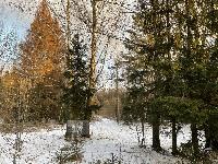 Участок 19.0  соток, Долгиниха д.