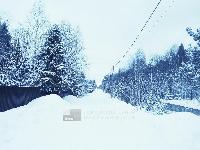 Участок 9.7  соток, СНТ Кантемировец тер.