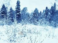 Участок 9.7  соток, СНТ Кантемировец тер.