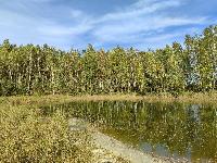 Дом 40.0  м2, Шатурторф п.