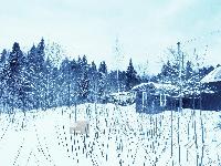 Участок 9.7  соток, СНТ Кантемировец тер.